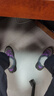 亚瑟士ASICS男鞋越野跑步鞋抓地稳定运动鞋耐磨跑鞋GEL-KAHANA 8 蓝灰色 46 实拍图
