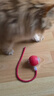 欢宠网猫玩具猫咪自动逗猫球棒电动自嗨神器自己玩解闷猫猫小猫幼猫宠物 实拍图