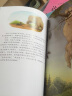 冲啊小小冒险家儿童成长探索力绘本套装全6册（海豚绘本花园汉斯比尔系列畅销幼儿园儿童绘本3-6岁睡前故事图书籍） 实拍图