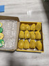 佳沛（zespri）新西兰 阳光金奇异果12粒礼盒特大果单果约122-146g 猕猴桃 水果 实拍图