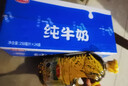 鲁花食用油 低芥酸特香菜籽油 900ml 物理压榨  实拍图