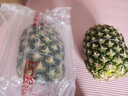 都乐Dole 菲律宾无冠凤梨 巨无霸1只净重2.6斤+  酸甜可口 源头直发 实拍图