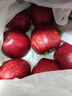 京鲜生 新西兰加力果苹果巨无霸12粒礼盒装 单果180-200g 水果礼盒 实拍图