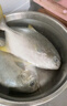 翔泰海南深海金鲳鱼700g 2条 火锅 生鲜鱼类 BAP认证 海鲜水产  实拍图
