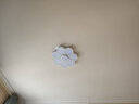 灵翔之光卧室灯吸顶灯无极遥控led灯具温馨简约现代薄家用房间灯2025新款 花朵 直径50cm  36w无极 实拍图