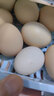 密园小农 北京油鸡蛋土鸡蛋白皮【散养】柴鸡蛋密云农场自产自销 30枚 约1.3kg【部分双黄】 实拍图