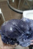花王（KAO）泡沫染发膏染发剂莉婕植物泡泡染家用午夜灰色 实拍图
