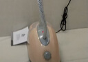 志高（CHIGO） 挂烫机家用熨斗烫衣服小型手持迷你熨烫机挂立式电熨斗大蒸汽熨烫衣服ZG-688 卡其色 实拍图