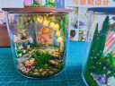 我の屋DIY玻璃瓶手工小屋奇幻仙境3d立体拼图桌面摆件玩具男女生日礼物 实拍图