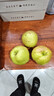 京地达隰县玉露香梨礼盒 净含量8斤单果250g新鲜梨子香梨装源头直发包邮 实拍图
