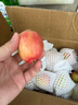 良知农哥 【顺丰】东北特产海棠果 小沙果 酸甜小苹果 龙丰果大秋果3斤30-40g 实拍图