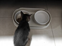 华元宠具（hoopet）猫碗陶瓷双碗狗狗饭盆猫咪食盆喂食器猫粮盆喝水碗防打翻宠物用品 实拍图