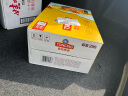 青岛啤酒（TsingTao）精酿系列 金质小棕金低温酿造296ml*24瓶 整箱装  露营出游 晒单实拍图