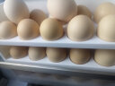 绿田逐农家散养土鸡蛋40枚 谷物鲜鸡蛋 新鲜营养 健康轻食 2kg 晒单实拍图