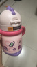 babycare儿童保温杯婴儿宝宝吸管水杯霸王龙不锈钢保温杯300ml-新旧款混发 实拍图