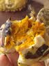 【活蟹】阳澄帝 大闸蟹鲜活  现货特大螃蟹公蟹母蟹精品礼盒装 精品六月黄2.5-2.8两   8只装 实拍图
