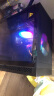长城（Great Wall）魔镜1黑色电竞海景房机箱（ATX主板/双面玻璃/磁吸玻璃翻门/8风扇位/240水冷位/防尘网/4080显卡） 实拍图