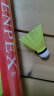 ENPEX乐士 羽毛球12只装稳定耐打羽毛球尼龙球S12（尼龙、羽毛随机发） 晒单实拍图