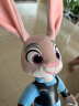 迪士尼（Disney）兔子毛绒玩具抱枕公仔情人节礼物送女友520情人节礼物女生生日礼物女 12号疯狂动物城朱迪 实拍图