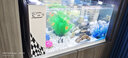 长锐侧滤鱼缸桌面办公室免换水生态水草超白水族箱 K600加热版【长63 宽27 高35】 实拍图