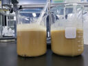 海斯迪克 HKQS-103 透明量杯带把 容量杯刻度杯测量计量杯 无盖500ml 实拍图