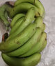 融暖（RONGNUAN）大香蕉 云南大香蕉 薄皮青蕉 当季带箱10斤装新鲜水果芭蕉整箱批 精选大香蕉  带箱9-10斤装 晒单实拍图
