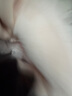 真维斯（JEANSWEST）保暖打底衫女加绒秋冬季新款长袖立领纯色秋衣内搭修身磨绒女 米色 纯色 M 实拍图
