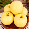 甜醉了 烟台苹果黄元帅粉面苹果黄金帅黄香蕉山东新鲜水果当季整箱鲜果 5斤75-80mm 实拍图