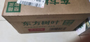 农夫山泉 东方树叶乌龙茶500ml*15瓶无糖茶饮料0糖0脂0卡整箱装解渴饮品 实拍图