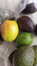 山姆大叔 金奖·哈斯牛油果云南孟连【闪送】当季鳄梨非即食新鲜水果礼盒 【鼻祖级】特级果丨约130-160g 10枚【全家分享-蕞划算】普装 实拍图