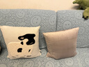 LIVING INC牧场 可爱卡通毛绒抱枕儿童卧室床上靠垫客厅沙发靠枕羊毛简约 荷斯坦牛 45x45cm 枕套 枕芯 实拍图