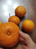 静益乐源爱媛38号果冻橙 四川爱媛果冻橙 桔橘水果 5斤果王果径80-85mm 实拍图