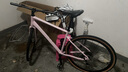 SUNPEED速比特kepler开普勒公路车平把瓜车自行车男士女士通勤砾石山地车 樱桃粉 48M身高173-180cm 颜色 实拍图