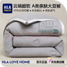 海澜之家（HLA）夏凉被薄被春秋被子超柔A类大豆纤维被芯学生宿舍四季通用空调被 【A类 超柔抗菌】浅灰-白边 【厚冬被】220*240cm/约9.5斤 实拍图