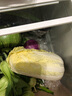 密之蓝天农家新鲜蔬菜油菜约450g生鲜嫩宝宝小油菜鲜嫩叶菜类火锅食材现摘 450g 实拍图