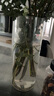 掬涵防摔直筒花瓶亚克力水养水培高级圆柱透明塑料醒花桶鲜花客厅摆件 12*30【高透加厚PET材质】 30cm 耐摔耐磨现代简约风 实拍图