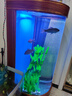 喜灏生态欧式半圆型鱼缸水族箱玻璃圆柱靠墙中型客厅隔断屏风创意鱼缸 52x50x138-连体一键下水开门款 实拍图