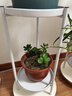 好铁匠 北欧客厅花架ins花架子简约绿萝落地式轻奢多层室内花盆架多肉架 1185白色小号直径25*高50 实拍图