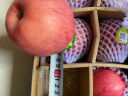 洛川苹果 陕西水果红富士苹果20个80mm约4.75kg苹果水果礼盒 新鲜时令水果 20枚80 实拍图
