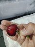 茜货国产车厘子樱桃水果礼盒现摘现发 4JJJJ级2斤单果32-34mm源头直发 晒单实拍图