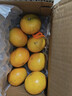 广西武鸣沃柑2025橘子新鲜水果当季一级沙糖蜜橘砂糖柑橘大果 特大果(单果径70mm+) 净重3斤 实拍图
