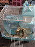 宠尚天 仓鼠笼子仓鼠笼别墅仓鼠窝仓鼠用品套餐仓鼠玩具双层仓鼠小城堡 蓝色卡扣大城堡套餐 实拍图