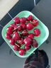 马保果3J车厘子山东美早樱桃新鲜樱桃水果当季孕妇水果礼盒国产车厘子 1斤(净重)  精选装大樱桃 实拍图