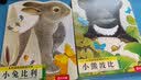 乐乐趣小兔比利触摸书亮丽精美系列绘本0-1-3岁幼儿启蒙早教触摸书婴幼儿童书故事书儿童绘本0-3岁蒙台梭利玩具书宝宝绘本安静书 触摸书-小熊波比 实拍图