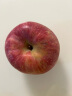 京鲜生 正宗新疆阿克苏苹果 脆甜苹果4.5kg超大单果300g起新鲜水果 实拍图