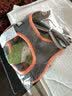 TRUELOVE狗狗牵引绳小型犬狗绳子遛狗绳背心式泰迪柯基宠物用品小狗胸背带 灰桔色 M(胸围44-48cm)建议11-14斤选择 实拍图