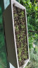 德沃多肥料霍伦种菜花盆大号*2(灰色)家用育苗盆长方形种植多肉箱阳台种菜箱 晒单实拍图