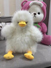 紫彤可爱炸毛墩墩鸭玩偶猫咪抱枕沙发客厅靠枕睡觉夹腿网红女生日礼物 炸毛白鸭 40厘米 实拍图