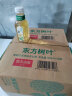 农夫山泉 东方树叶茉莉花茶335ml*15瓶 0糖0脂0卡无糖饮料 茶饮料 整箱装 实拍图