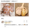 洁西 花枝鼠鼠粮1kg 小宠物花枝鼠粮食主粮仓鼠营养饲料高蛋白繁殖粮 实拍图